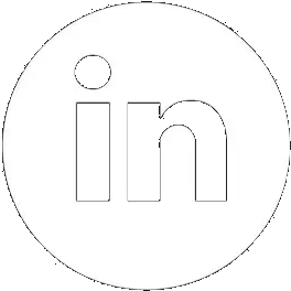 linkedin icon